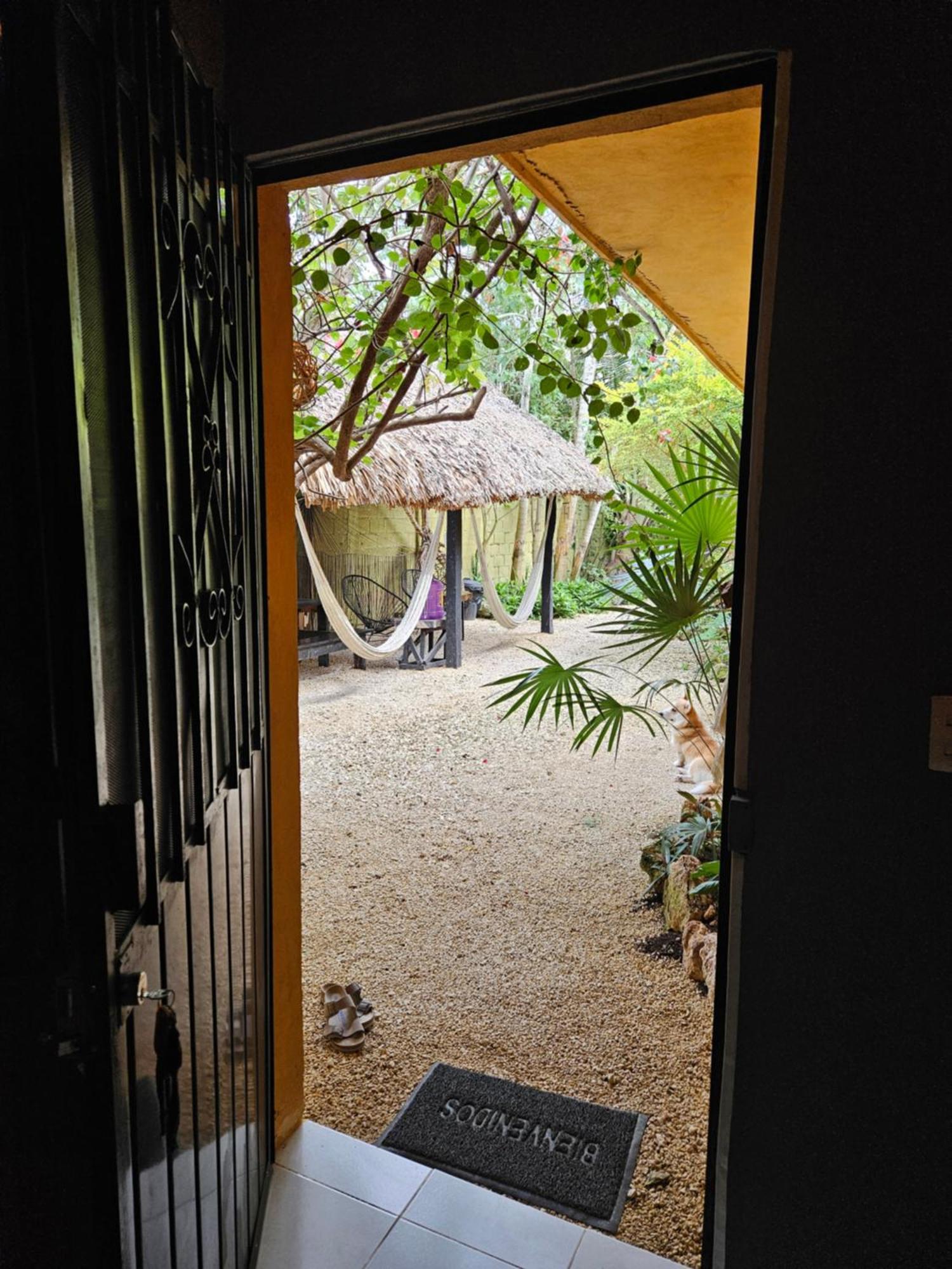 Appartamento Jungla Bacalar Esterno foto