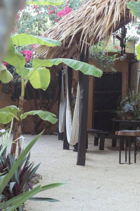 Appartamento Jungla Bacalar Esterno foto