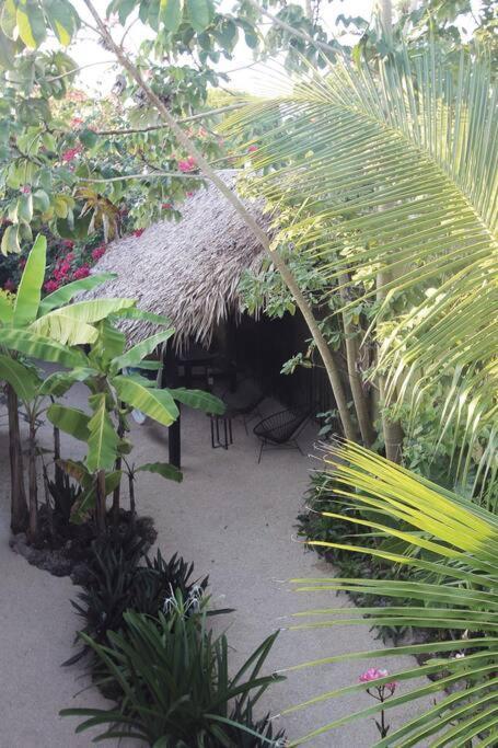 Appartamento Jungla Bacalar Esterno foto