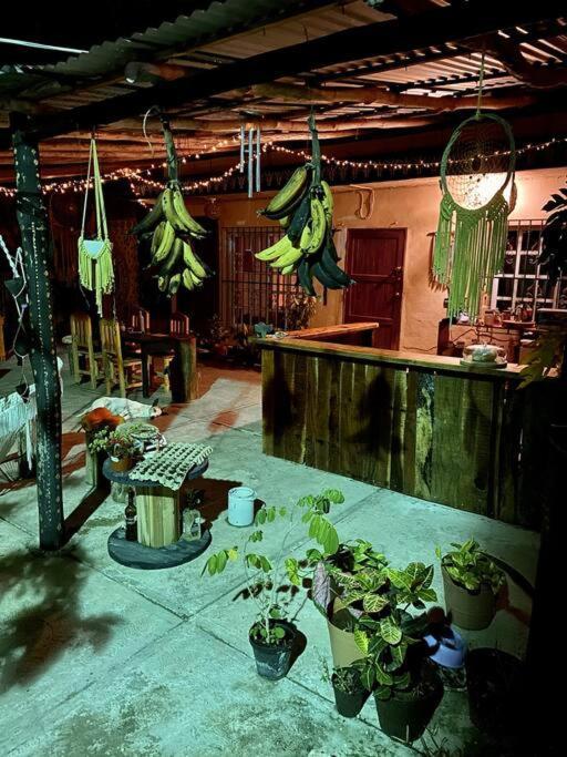 Appartamento Jungla Bacalar Esterno foto