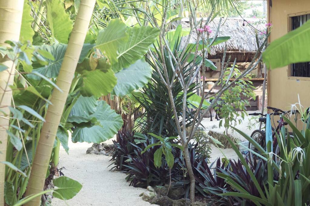 Appartamento Jungla Bacalar Esterno foto